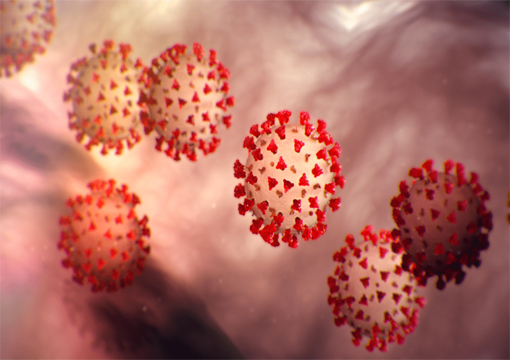Coronavirus: Busting the Myths