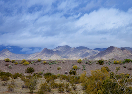 Black Mountains, Arizona