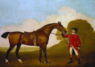 A Bay Horse with a Groom, 1791. George Stubbs